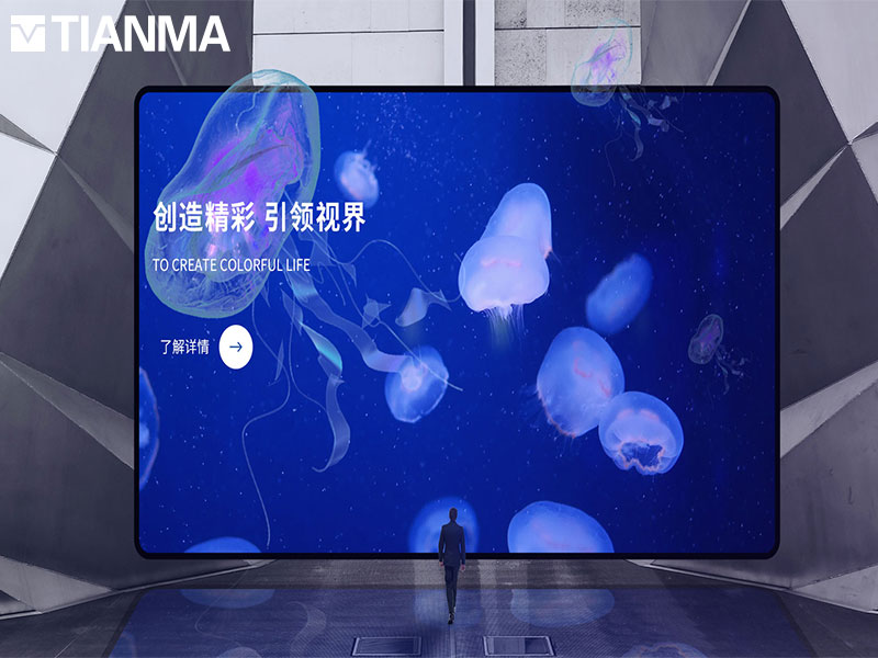 天馬微電子